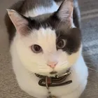 ユーザー画像