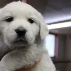 ユーザー画像