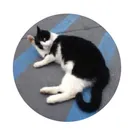 ユーザー画像
