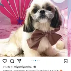ユーザー画像