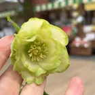 ユーザー画像