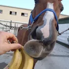 ユーザー画像