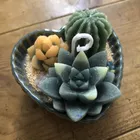 ユーザー画像