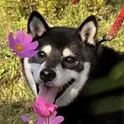 ユーザー画像