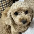 ユーザー画像