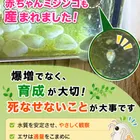ユーザー画像