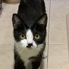 ユーザー画像