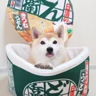 ユーザー画像