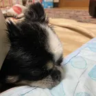 ユーザー画像