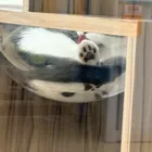 ユーザー画像
