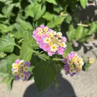 ユーザー画像
