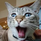 ユーザー画像