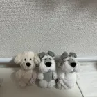 ユーザー画像