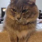 ユーザー画像