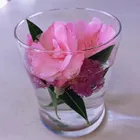 ユーザー画像
