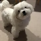 ユーザー画像