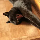 ユーザー画像