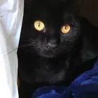 ユーザー画像