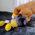 ユーザー画像