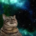 ユーザー画像
