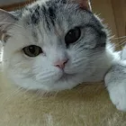 ユーザー画像