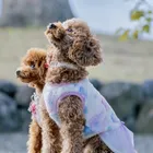 ユーザー画像