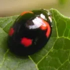 ユーザー画像