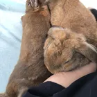 ユーザー画像