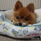 ユーザー画像