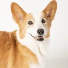 ユーザー画像