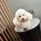 ユーザー画像