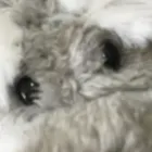 ユーザー画像