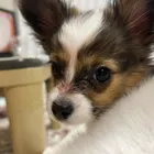 ユーザー画像
