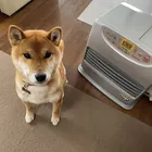ユーザー画像