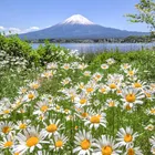 ユーザー画像