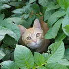 ユーザー画像