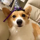 ユーザー画像