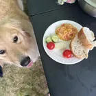ユーザー画像