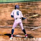 ユーザー画像