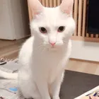 ユーザー画像