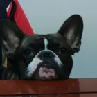 ユーザー画像