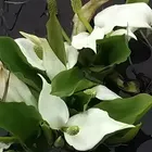 ユーザー画像