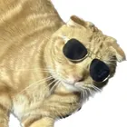 ユーザー画像