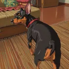 ユーザー画像