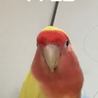 ユーザー画像
