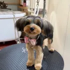 ユーザー画像