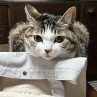 ユーザー画像