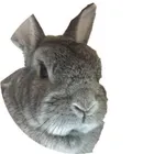 ユーザー画像