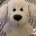 ユーザー画像