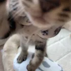 ユーザー画像